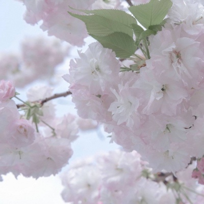 江阳福瑞交流群